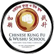 Chinese Kung Fu & Wushu School