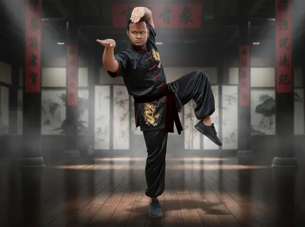 kung-fu-2